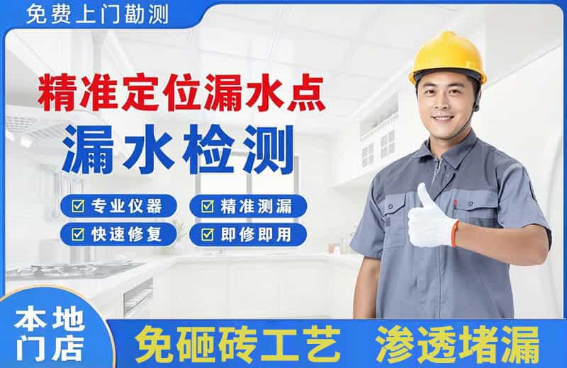 西林精准测漏点